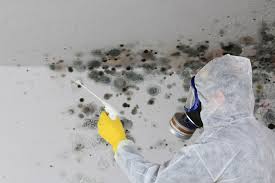 Best Mold Prevention Services  in Eldersburg, MD